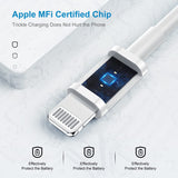 Apple MFi Certified iPhone Fast Charger, 20W  with USB C to Lightning Cable 6ft