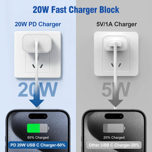 2in1 Fast Charging 10 ft USB C Cable